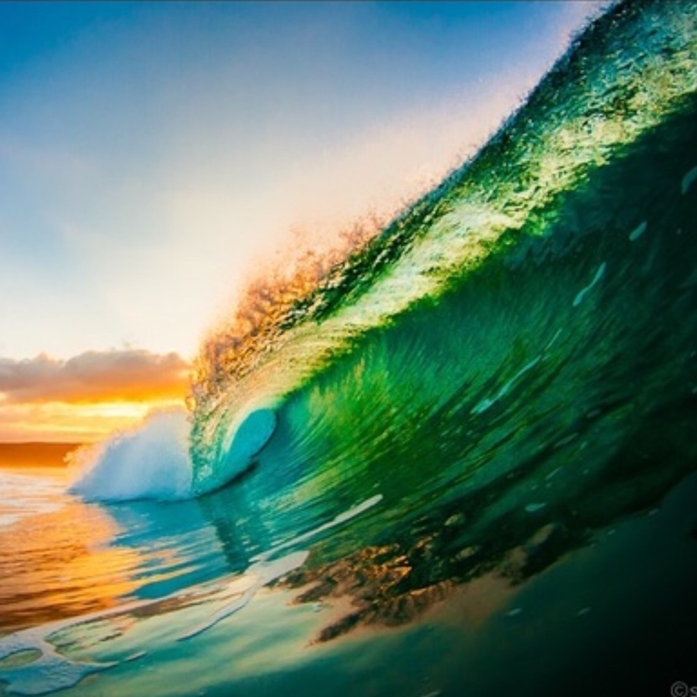 🌿 - Picture 4 of 5